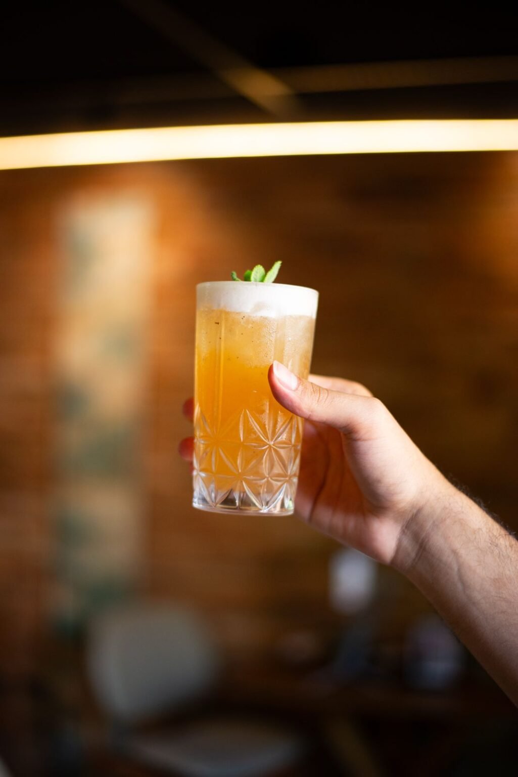 WhatsApp Image 2026-02-10 at 20.45.04 (5)